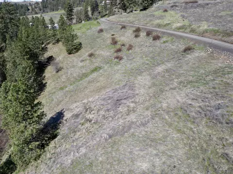 tbd Old Peck Grade, Lenore, ID 83541 photo 5