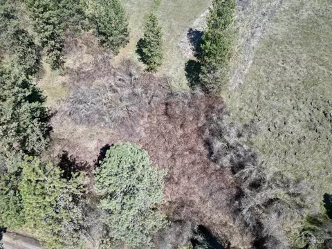 tbd Old Peck Grade, Lenore, ID 83541 photo 11