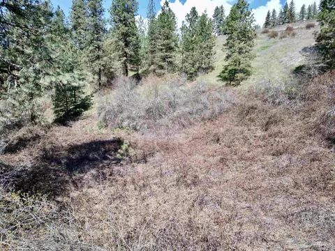 tbd Old Peck Grade, Lenore, ID 83541 photo 13