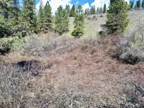 tbd Old Peck Grade, Lenore, ID 83541 photo 12