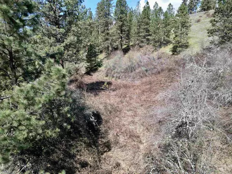 tbd Old Peck Grade, Lenore, ID 83541 photo 6