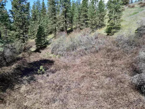 tbd Old Peck Grade, Lenore, ID 83541 photo 7