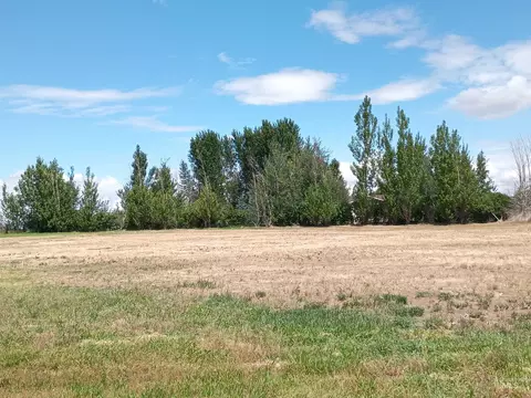 Exterior - 1127 E 720 N 1127 E 720 N, Richfield, ID 83349 photo 7 of 18