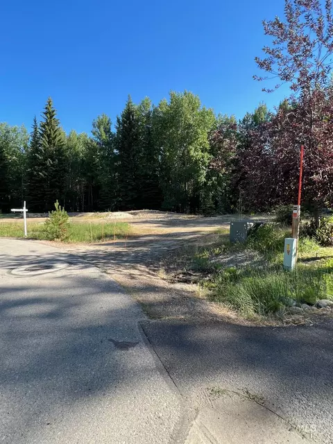 321 Mountain Cove Ct, Mccall, ID 83638 photo 29
