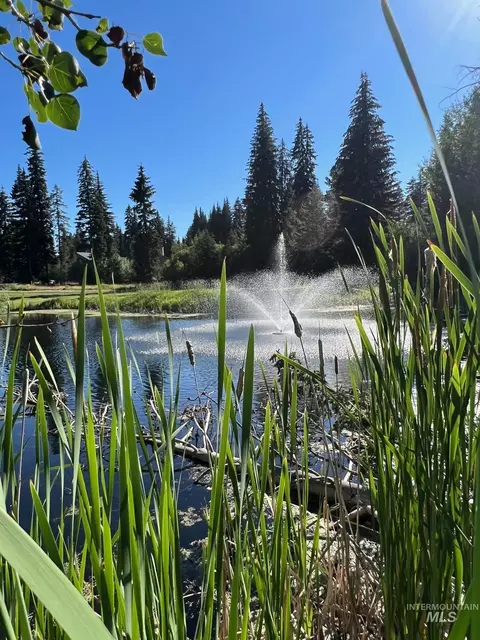 321 Mountain Cove Ct, Mccall, ID 83638 photo 16