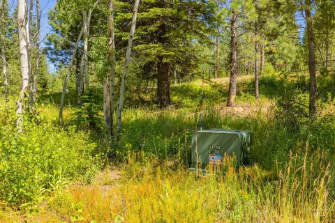 151 Timber Haven Pl, Cascade, ID 83611 photo 35