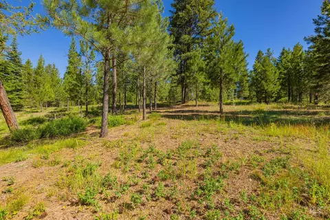 151 Timber Haven Pl, Cascade, ID 83611 photo 40