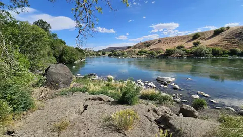863 Pottery Rd, Bliss, ID 83314 photo 36