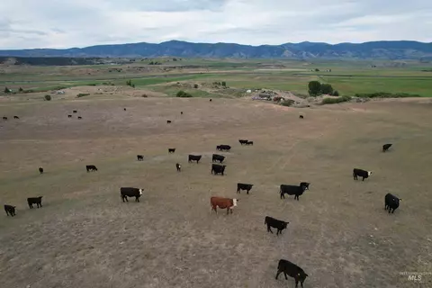 Other - 392 River Rd, Grace, ID 83241 photo 20 of 21