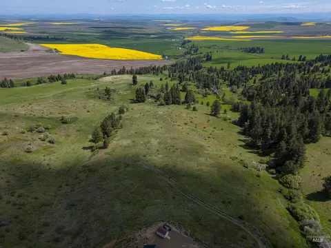 tbd Riggin Rd, Ferdinand, ID 83526 photo 6