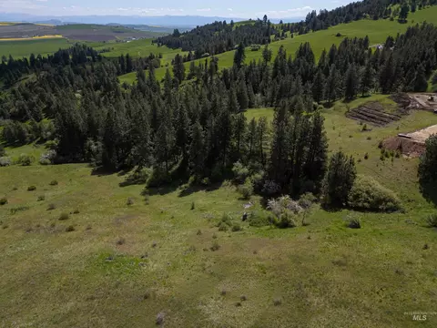 tbd Riggin Rd, Ferdinand, ID 83526 photo 2