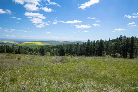 tbd Riggin Rd, Ferdinand, ID 83526 photo 12