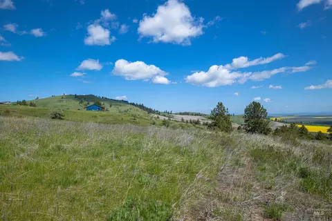 tbd Riggin Rd, Ferdinand, ID 83526 photo 14