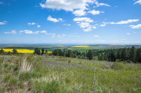 tbd Riggin Rd, Ferdinand, ID 83526 photo 11