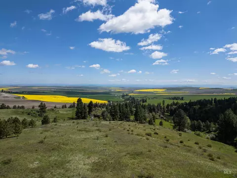 tbd Riggin Rd, Ferdinand, ID 83526 photo 1