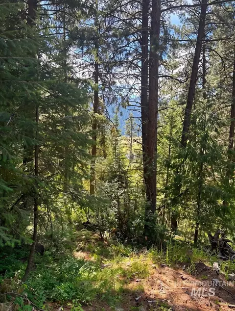 459 Collier Vw, Cascade, ID 83611 photo 5