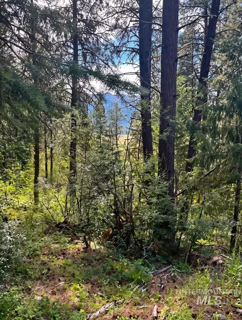 459 Collier Vw, Cascade, ID 83611 photo 4