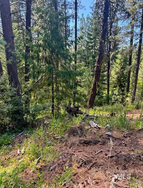 459 Collier Vw, Cascade, ID 83611 photo 2