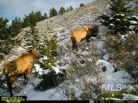 tbd Tbd, Georgetown, ID 83237 photo 3