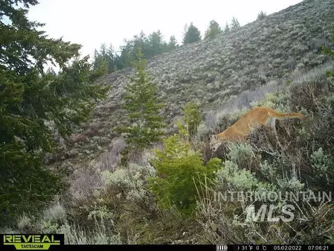tbd Tbd, Georgetown, ID 83237 photo 14