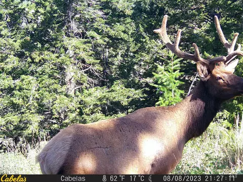 tbd Tbd, Georgetown, ID 83237 photo 39