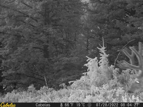 tbd Tbd, Georgetown, ID 83237 photo 40