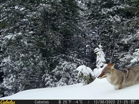 tbd Tbd, Georgetown, ID 83237 photo 46