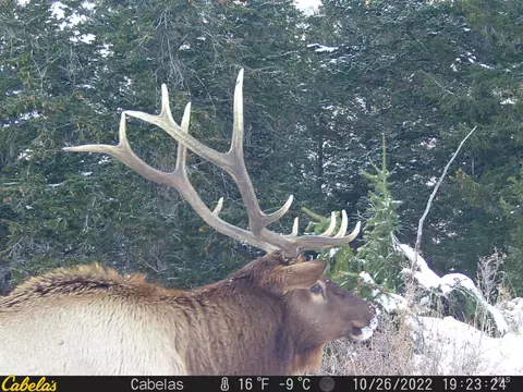 tbd Tbd, Georgetown, ID 83237 photo 41