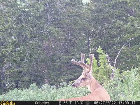 tbd Tbd, Georgetown, ID 83237 photo 38