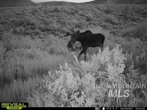 tbd Tbd, Georgetown, ID 83237 photo 47