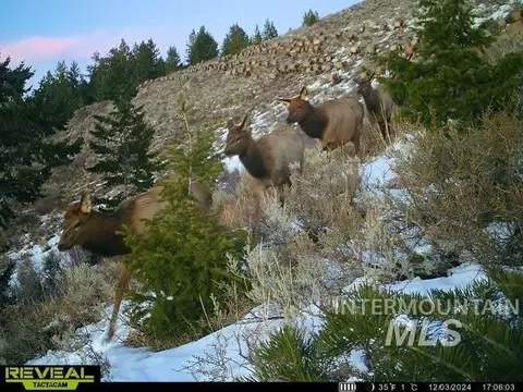 tbd Tbd, Georgetown, ID 83237 photo 12