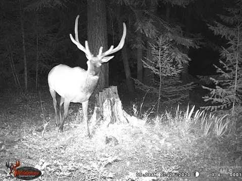 tbd Tbd, Union, OR 97883 photo 20
