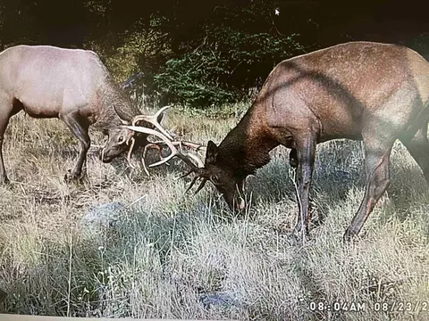 tbd Tbd, Union, OR 97883 photo 2