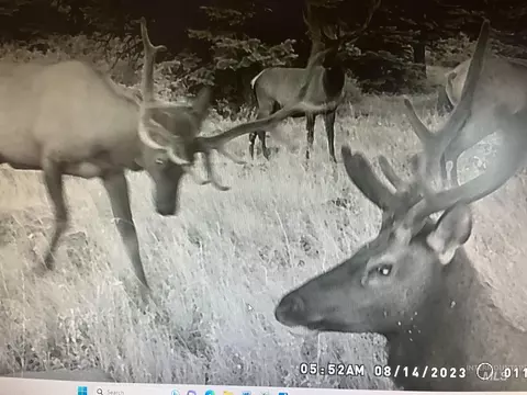 tbd Tbd, Union, OR 97883 photo 17