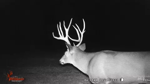 tbd Tbd, Union, OR 97883 photo 9