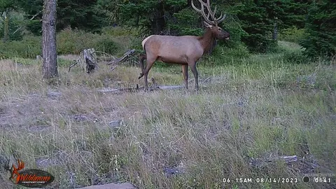 tbd Tbd, Union, OR 97883 photo 16