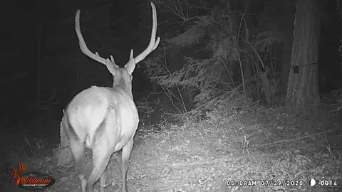 tbd Tbd, Union, OR 97883 photo 21