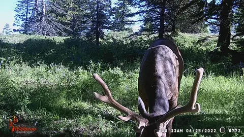 tbd Tbd, Union, OR 97883 photo 19
