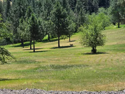 tbd Wild Plum Ln, Kooskia, ID 83539