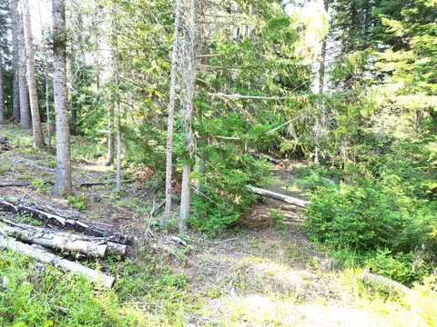 23 Aitken Rd, Weippe, ID 83553 photo 4
