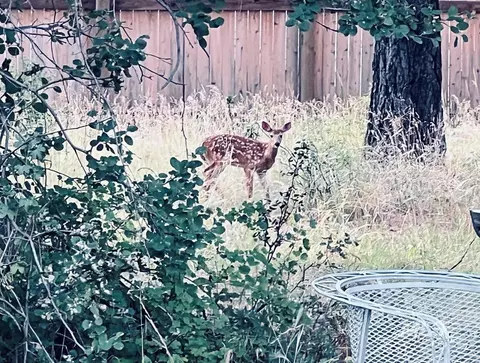 Other - 1907 Gold Dust Rd, Cascade, ID 83611 photo 6 of 13