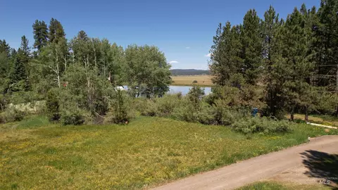 View/Area - 17 Lem Ct, Cascade, ID 83611 photo 3 of 4