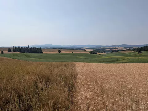 37 Ac Tbd Boller Rd, Potlatch, ID 83855 photo 8