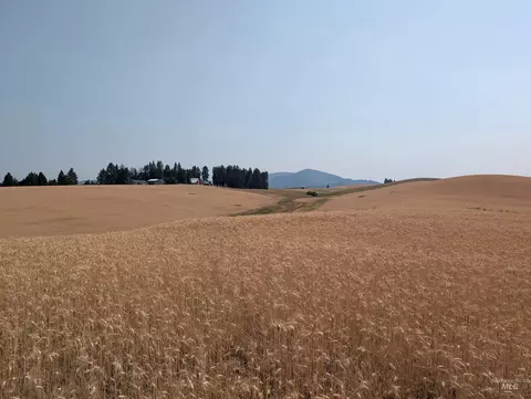 37 Ac Tbd Boller Rd, Potlatch, ID 83855 photo 16