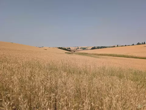 37 Ac Tbd Boller Rd, Potlatch, ID 83855 photo 12