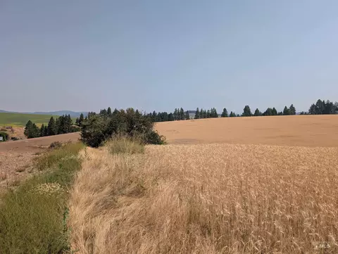 37 Ac Tbd Boller Rd, Potlatch, ID 83855 photo 11