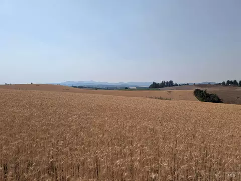 37 Ac Tbd Boller Rd, Potlatch, ID 83855 photo 19
