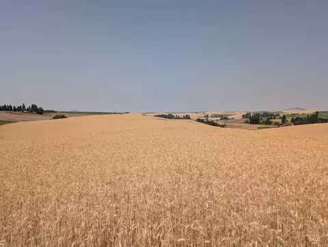 37 Ac Tbd Boller Rd, Potlatch, ID 83855 photo 14
