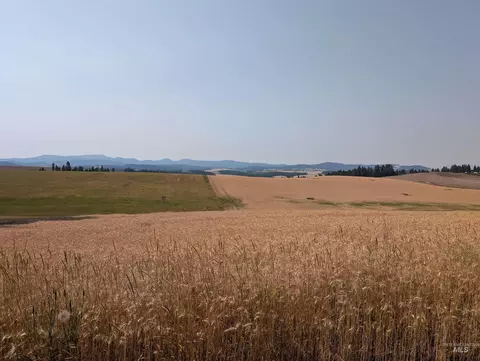 37 Ac Tbd Boller Rd, Potlatch, ID 83855 photo 7