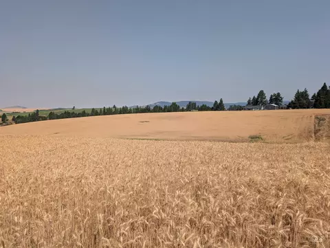 37 Ac Tbd Boller Rd, Potlatch, ID 83855 photo 15